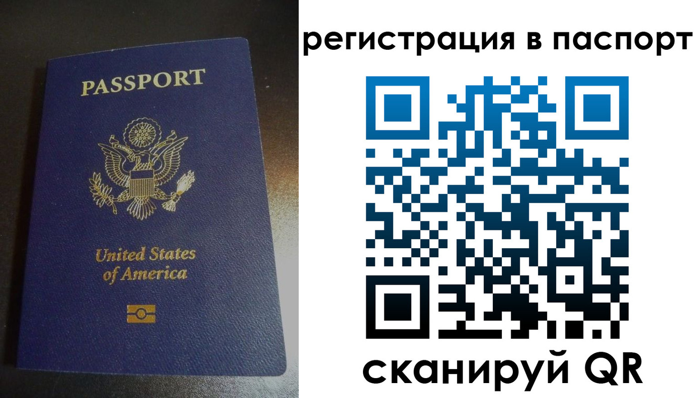 прописка для школы в Дятьково